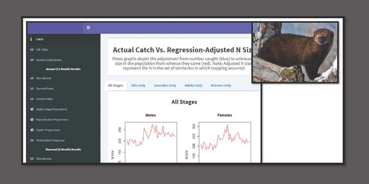 Fisher Catch data.jpg Cornell Wildlife Health Lab
